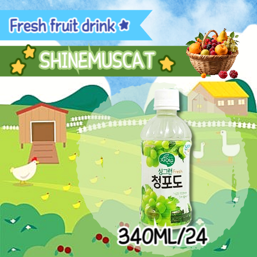 Youus Shinemuscat 340ml*24