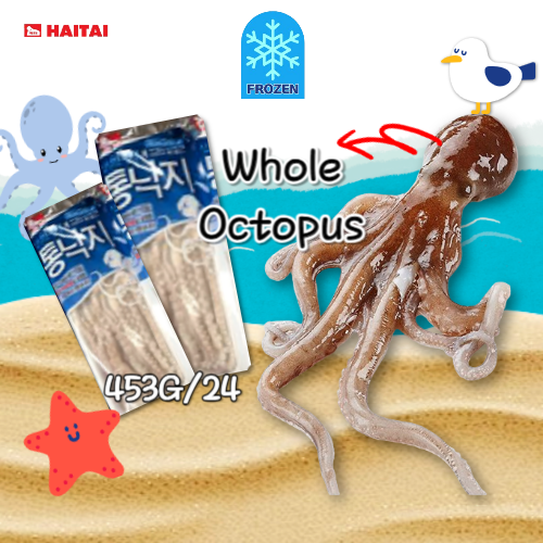 Haitai Octopus (Whole) 453G*24
